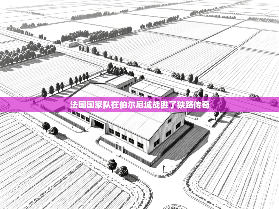 法国国家队在伯尔尼城战胜了狭路传奇  第1张