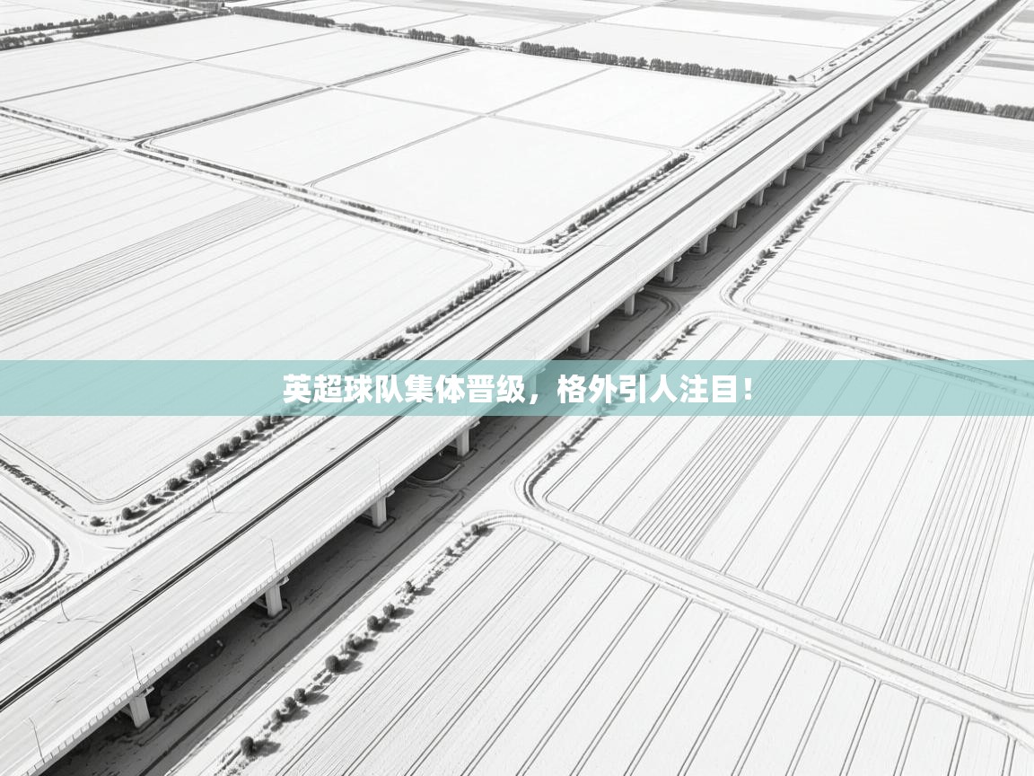 英超球队集体晋级，格外引人注目！  第1张