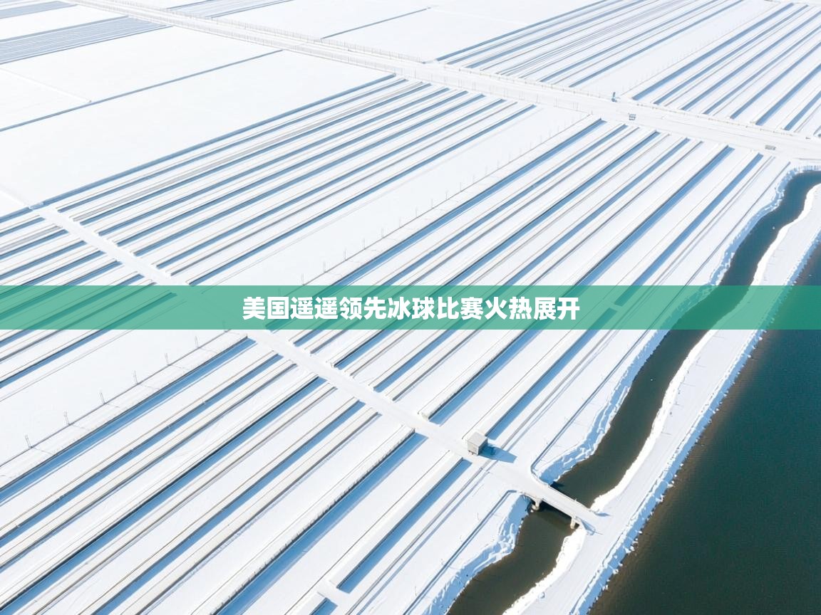 美国遥遥领先冰球比赛火热展开  第2张
