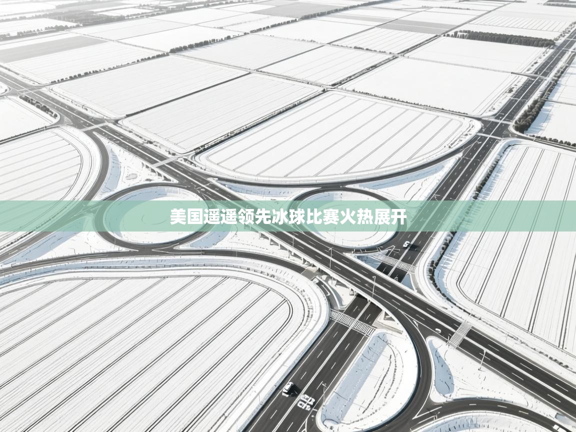 美国遥遥领先冰球比赛火热展开  第1张