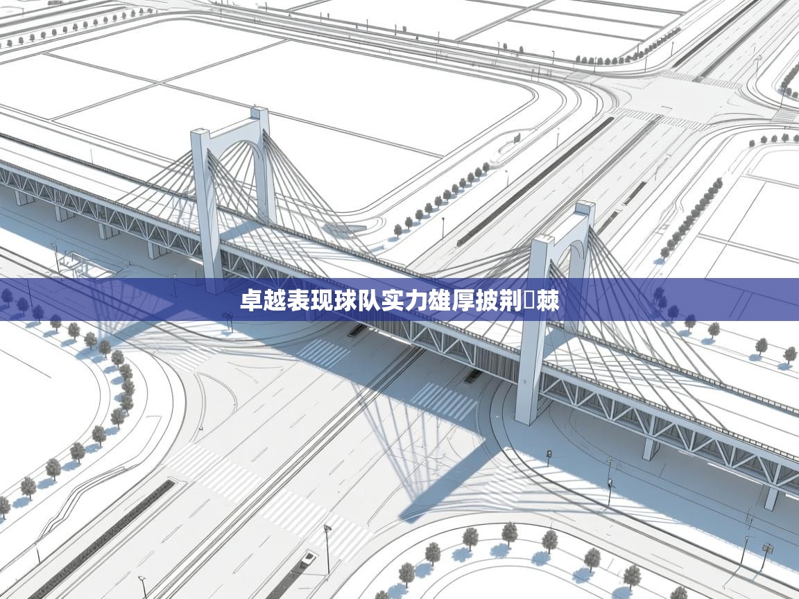 卓越表现球队实力雄厚披荆斖棘  第2张