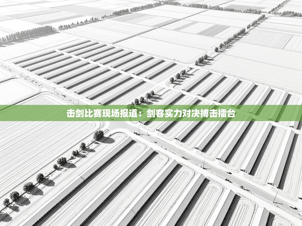 击剑比赛现场报道：剑客实力对决搏击擂台  第1张