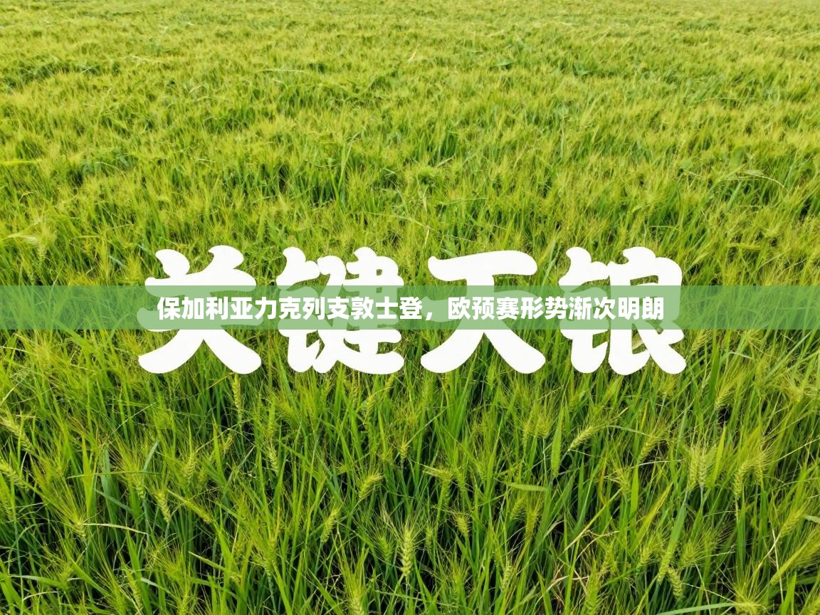 保加利亚力克列支敦士登，欧预赛形势渐次明朗  第1张